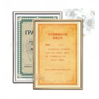 勤学A3 仿铝镜框，营业执照保护套 仿铝合金4K工商营业执照证件框税务证书奖状证书框镜框 相框画框 金色边框/银色边框
