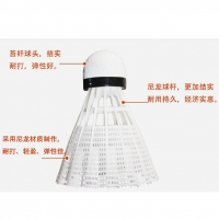 恒博HB-401，羽毛球-6只装(HB401)