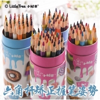 （特惠品）小树苗513601，36色筒装彩铅（1/8/80）小树苗QN513601彩色铅笔 甜品时光