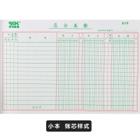 6211 莱特 25K50P总分类帐