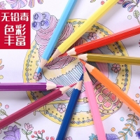（特惠品）小树苗QN511801，18色筒装彩铅（1/16/160）甜品时光彩色铅笔
