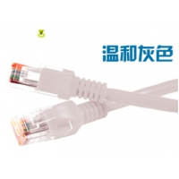 网线1米成品