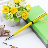 1063A 英雄 雅致系列多彩特细笔（暗尖）