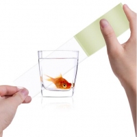 友日久6050，60*50Y封箱胶带（5卷装），透明胶带/快递打包胶带/纸封口胶布/胶带纸/6.0CM胶带