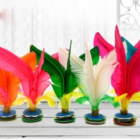 平彩毽子，火灵鸟毽子拆装学生毽子牛筋成人健身毽子耐踢