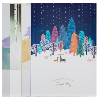 得力JB580，B5无线胶装本笔记本/学生日记本80页记事本简约卡通本