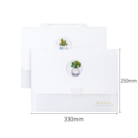 得力72513，13格A4学生风琴包（1/12/48）PP材质简约锁扣镂空相框创意软胶 