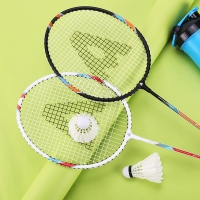 安格耐特得F2118，双拍超轻羽毛拍（1/25）进耐打型羽毛拍合金分体龙骨柄羽毛球拍