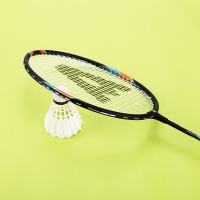 安格耐特得F2118，双拍超轻羽毛拍（1/25）进耐打型羽毛拍合金分体龙骨柄羽毛球拍